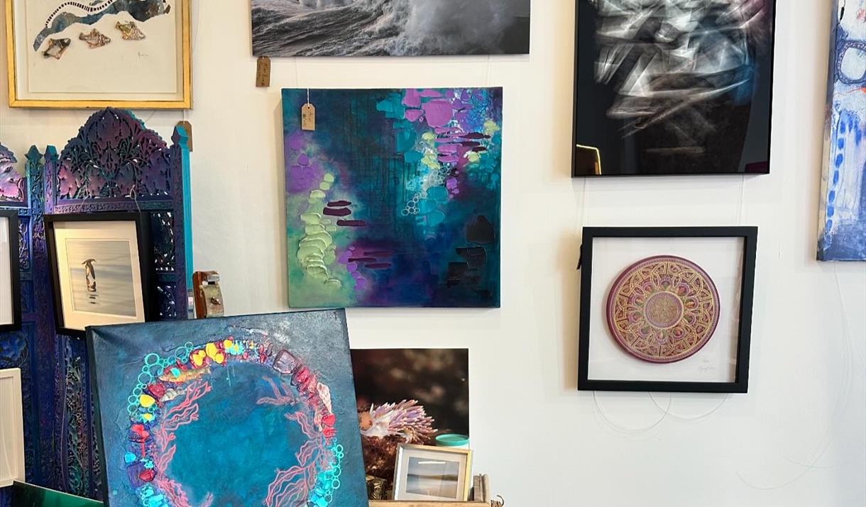 Pink Seaweed Gallery Interior